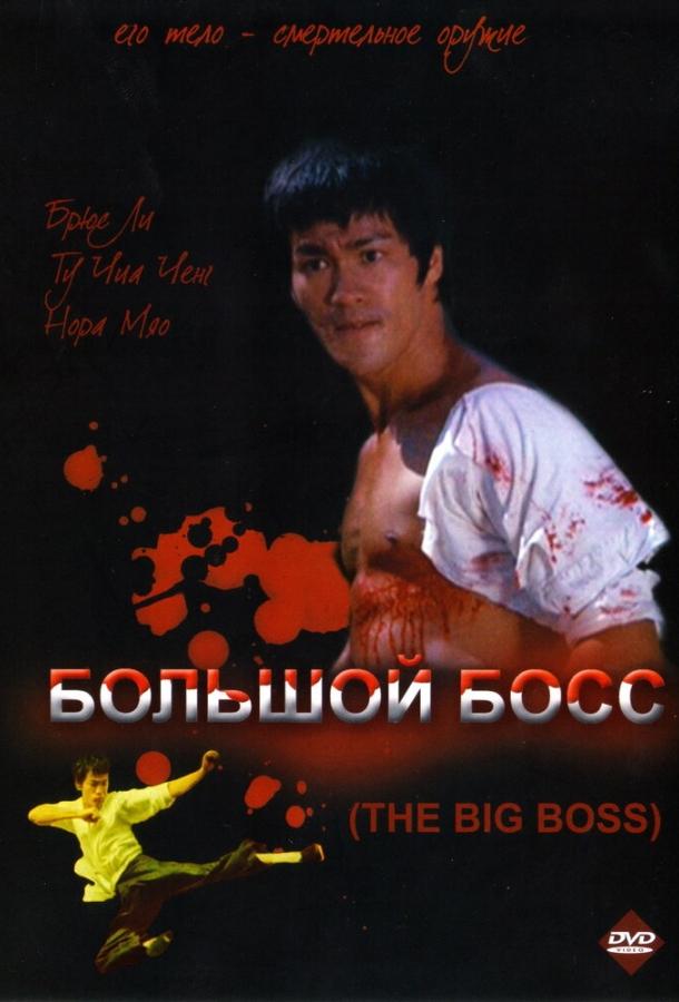 Фильм Большой босс (1971) смотреть онлайн в хорошем качестве